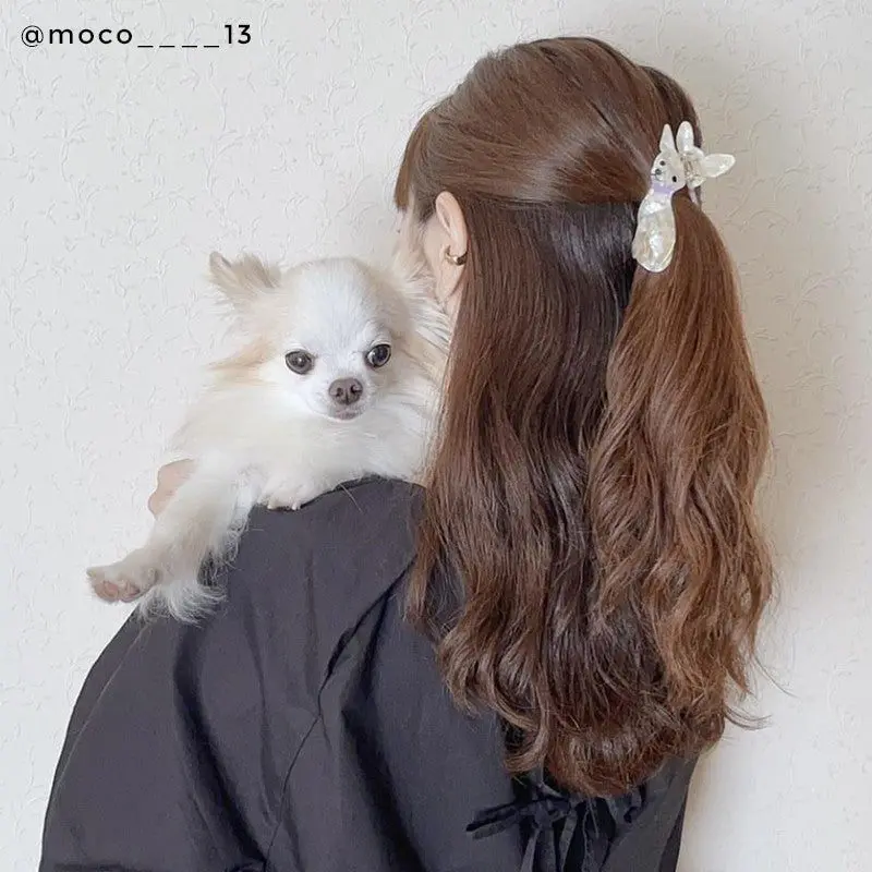 CHIHUAHUA HAIR CLAW - Bilde 4