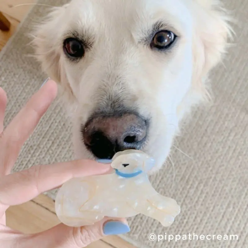 GOLDEN RETRIEVER HAIR CLAW - Bilde 4