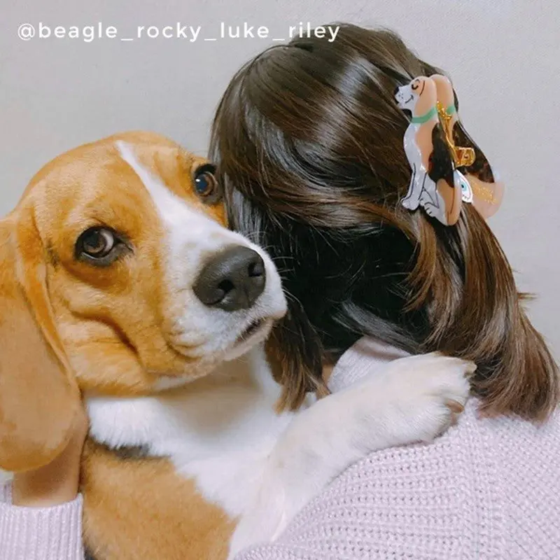 BEAGLE HAIR CLAW
