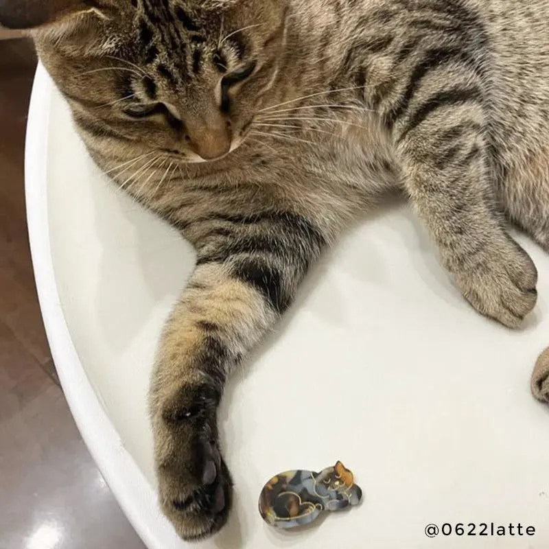 TORTOISESHELL CAT HAIR CLIP - Bilde 7