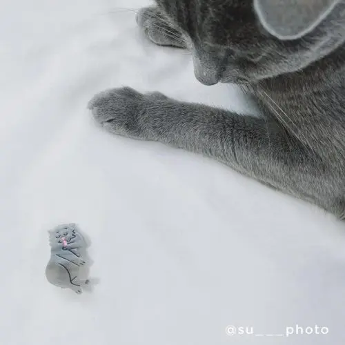 GREY CAT HAIR CLIP