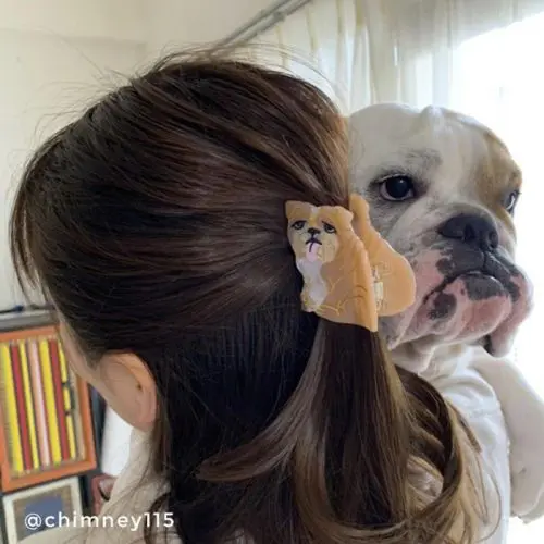 ENGLISH BULLDOG HAIR CLAW
