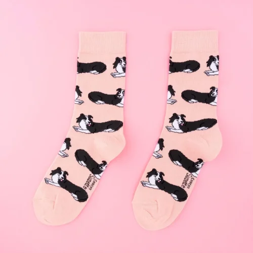 Border Collie Socks