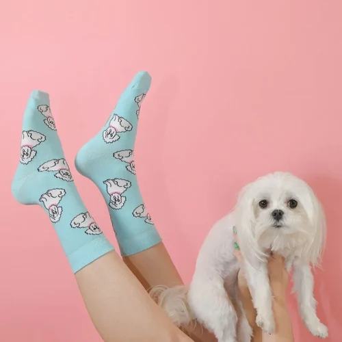 Bichon Socks
